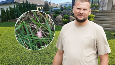 Šis sezonas vejoms – kaip iš vadovėlio apie netikėtumus